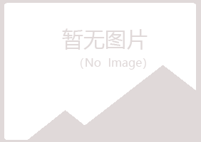 大新县又菱造纸有限公司